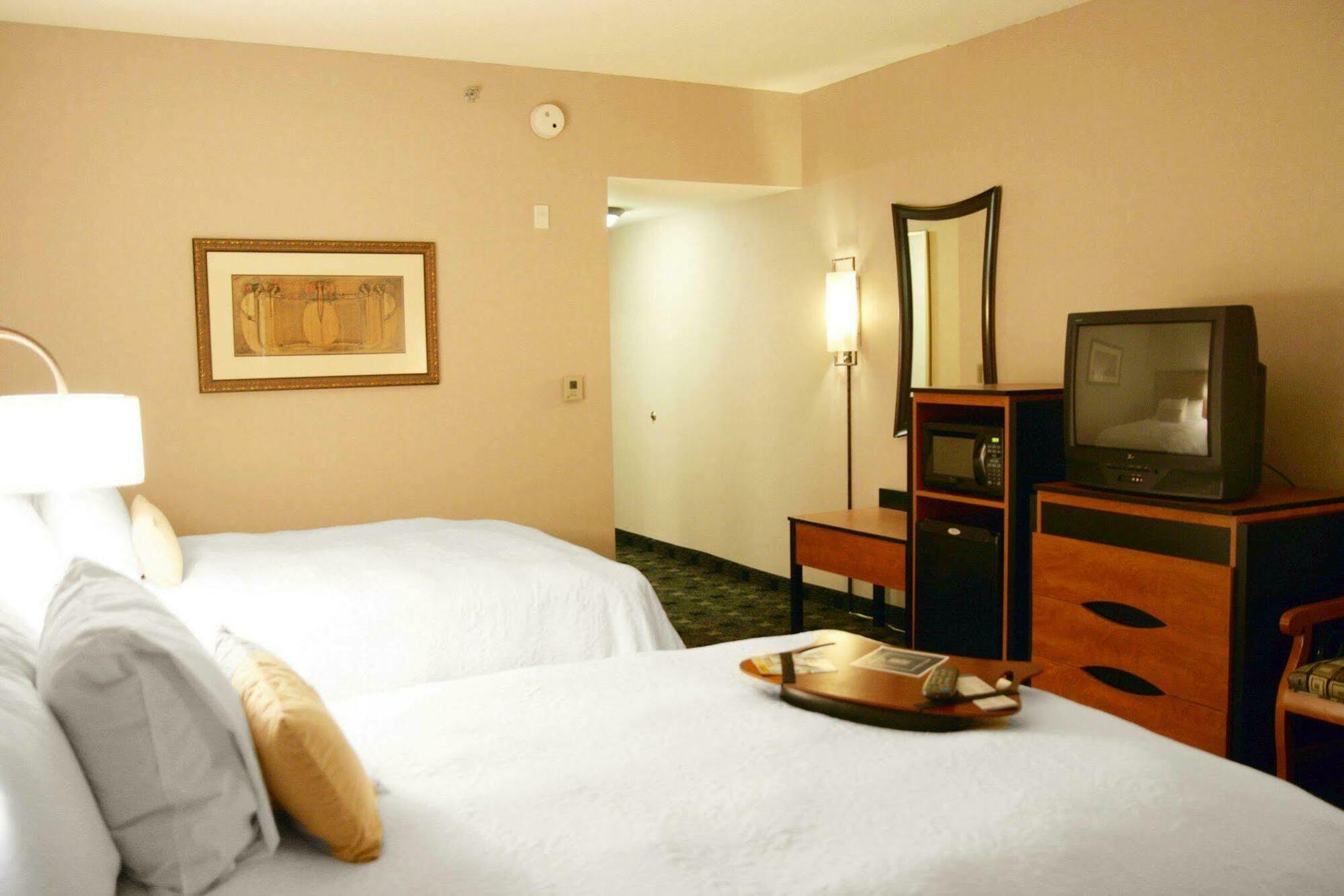 Hampton Inn And Suites Indianapolis-Фішерс Номер фото